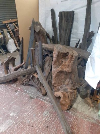 Bog Oak / Bog Pine