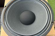 10 inch 8ohm guitar amp speaker
