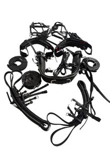 Horse pair harness