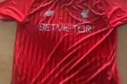 Liverpool 18/19 training shirt