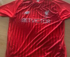 Liverpool 18/19 training shirt