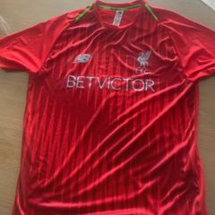 Liverpool 18/19 training shirt