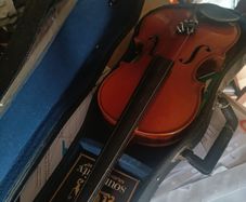 Violin
