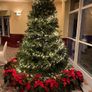 8ft christmas tree Image 5