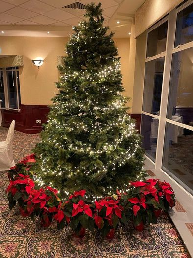 8ft christmas tree
