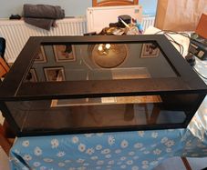 Reptile Vivarium / habitat/ enclosure