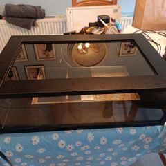 Reptile Vivarium / habitat/ enclosure