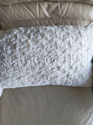 Cushions x 4