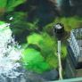 SunSun JY-03 Skimmer Image 4