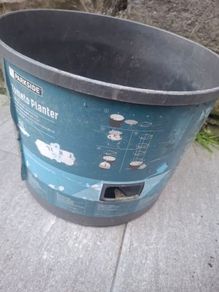 Tomato planter