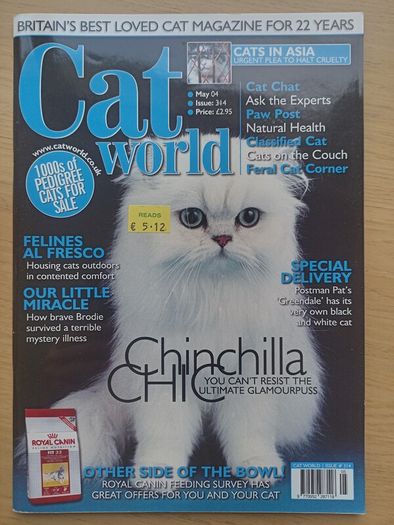 Cat World