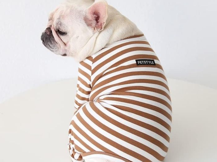 Dog Clothes,Dog Classic Striped Pajamas Soft Cotton Jumpsuit Pug French Bulldog Onesies Costume for Cats Puppy Small Dogs(Brown, blue, yellow, etc