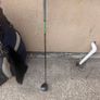 golf clubs Image 8