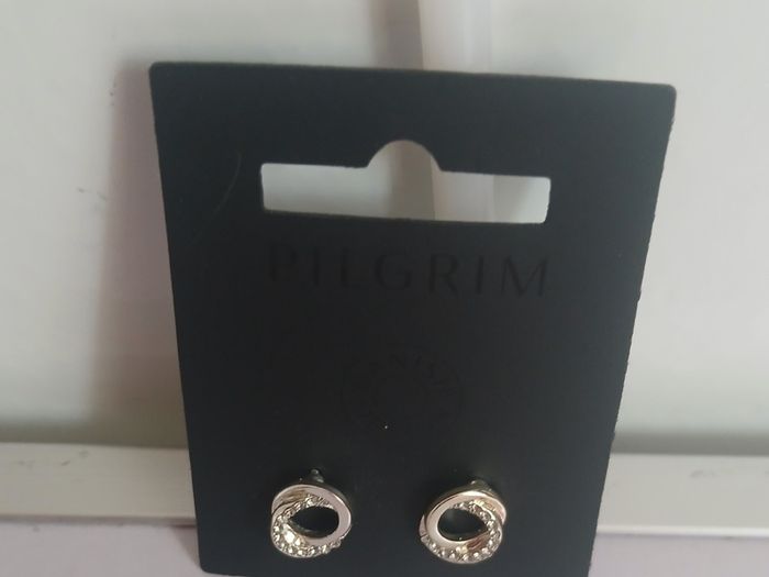 Pilgrim Danish Design Silver Tone Sparkling Open Circle Stud Earrings New CAN POST