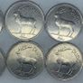 Ireland 1 pound coin lot x8 full date run all beautiful high grade coins Image 2