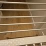 Electric Clothes Dryer Image 4