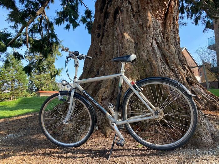 Gazelle 57cm city bike comfortable and reliable