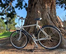 Gazelle 57cm city bike comfortable and reliable