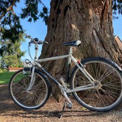 Gazelle 57cm city bike comfortable and reliable