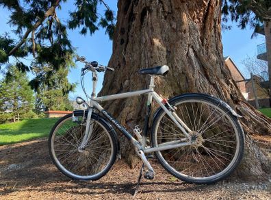 Gazelle 57cm city bike comfortable and reliable
