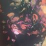 Joseph Ribcoff floral dress (free post) Image 8
