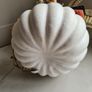 White Pumpkin Image 7
