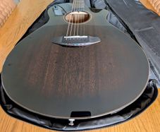 Breedlove Concert Pro guitar.Trade or Cash?