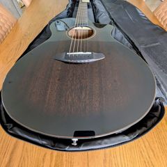 Breedlove Concert Pro guitar.Trade or Cash?
