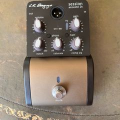 LR Baggs Session Di
