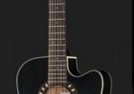 Harley Benton 12 string semi acoustic