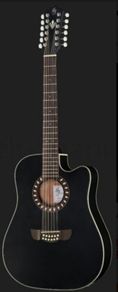 HB 12 string semi acoustic with guitar stand.