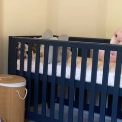 Mamas & Papas Melfi Cot Bed (Midnight/Navy) inc. premium mattress