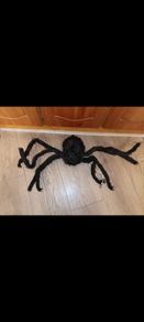 Halloween moving spider