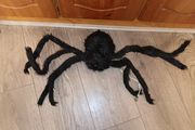 Halloween moving spider