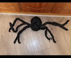 Halloween moving spider