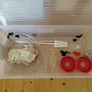 Complete Homebrew Equipment Bundle: 60+ Swing-Top Bottles & Full Kit Image 3