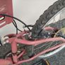 19" Bicycle Image 3
