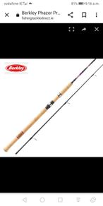 Berkley phazer pro II spinning rod