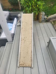 dog ramp