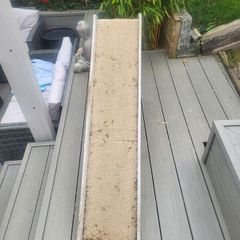 dog ramp