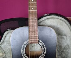 Art & Lutherie Acoustic Guitar