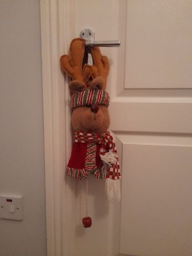 Christmas rudolph