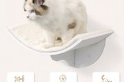cat shelves
