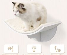 cat shelves