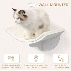 cat shelves