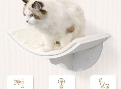 cat shelves