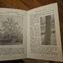 The Observer's Book Of Trees. Minature 1968 Hardback In Good Condition.  See Photos For Same. Image 7