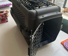 Puppy crate + harness, jacket etc