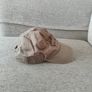Lucid cotton cap hat 58cm size adjustable in very good condition FREE STANDARD POSTAGE INCLUDED Image 2