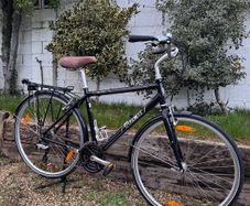 Trek Allant Trekking Bike